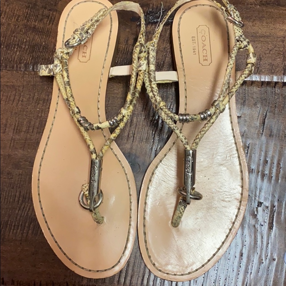Coach snakeskin sandals